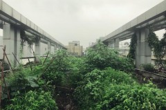 成都武侯区商务伴游的简单介绍